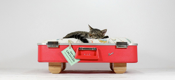 куфар червена кожа легло за котка